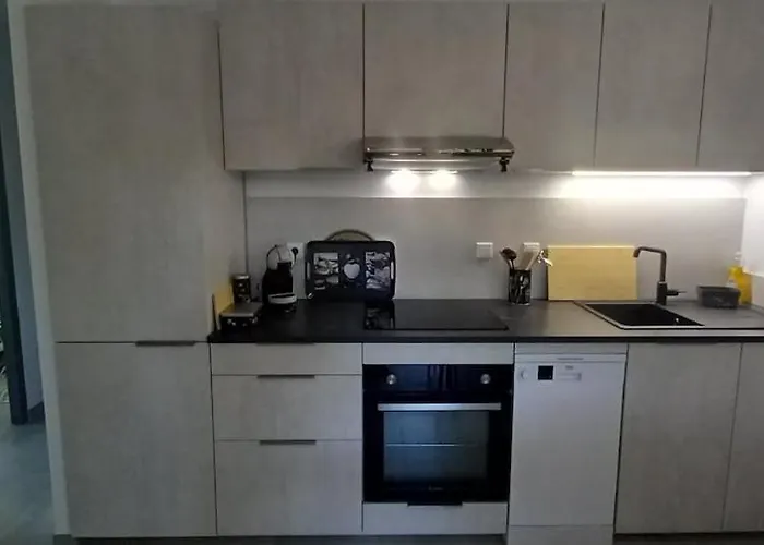 Maison Confort Avec Jardin Pour 4 Personnes Apartment Buzignargues